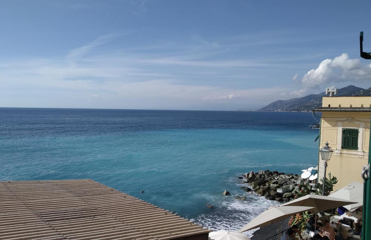 Le Finestre Sul Mare Apartment Camogli Luaran gambar